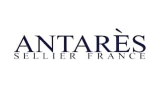 antarès sellier audit, etude de marché digital et optimisations seo