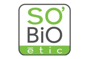 sobio etic audit web, benchmark et optimisations seo