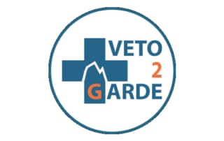 véto de garde marketing de contenu, rédactionnel web, google ads et optimisations seo